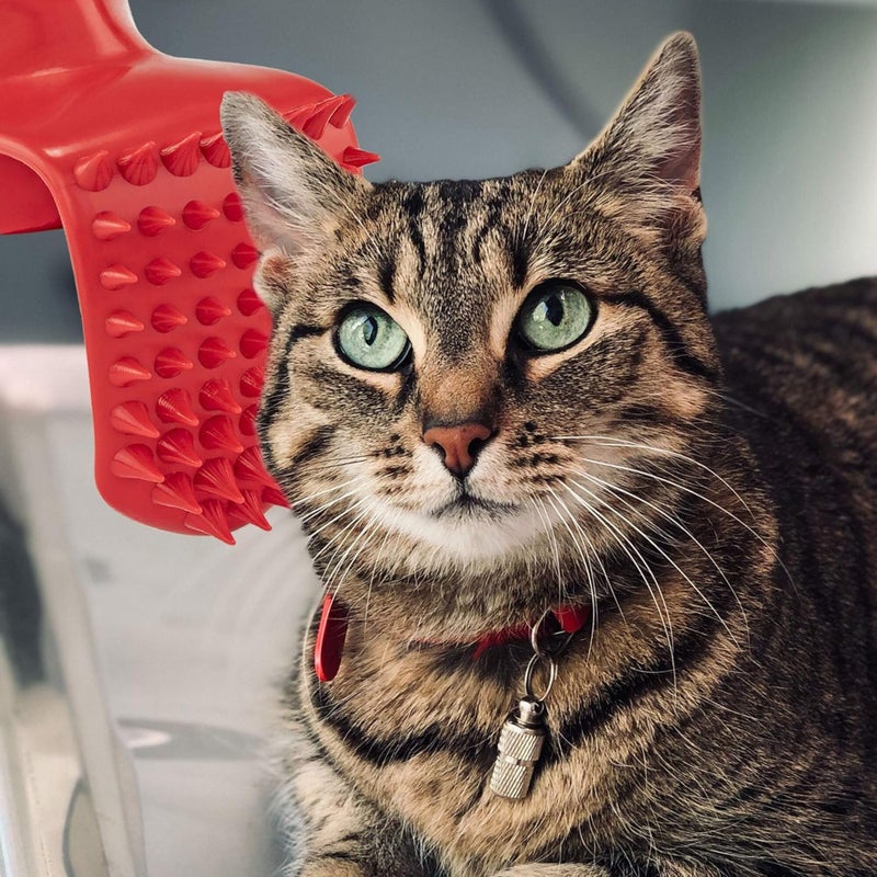 Lick'em Tongue Cat Brush â€“ Funny Novelty White Elephant Gag Gift for Cat Lovers - Image 5